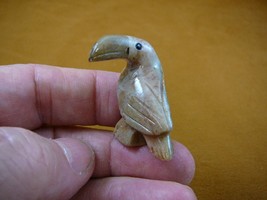 y-bir-to-28) little tan gray Toucan tropical bird soapstone figurine lov... - £6.85 GBP
