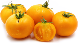 Giant Belgian Yellow Tomato - 10 Seeds - £23.97 GBP