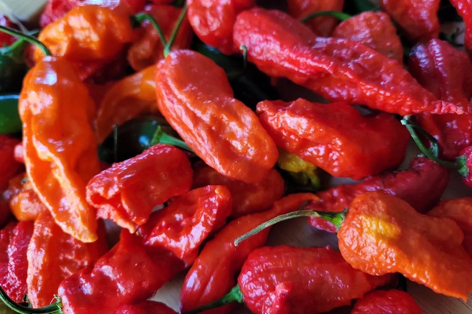 PSStore 500 Ct Ghost Pepper Non Gmo Heirloom Seeds Catalog - £25.14 GBP