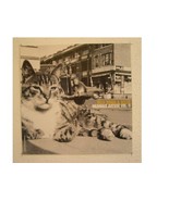 Wilco and Billy Bragg Poster Flat &amp; Mermaid Avenue 2 - $63.27 CAD