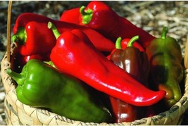 PM Carmen Hybrid Sweet Pepper Seeds (25 Seed Pack) - £3.74 GBP