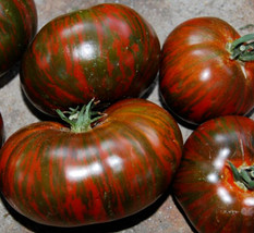 BPA Chocolate Stripes Tomato Seeds 50 Indeterminate Vegetable Garden From US - £7.02 GBP