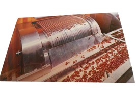 Vtg Postcard unposted Hershey PA Kisses rolling off the assembly line 1960s - $5.20