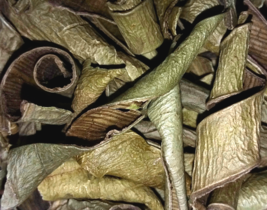 Aloe Leaf Peel - Aloe vera - Bulk Dried Herb Organic Botanical CHOOSE 0.5 - 4 oz - £4.46 GBP+