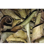 Aloe Leaf Peel - Aloe vera - Bulk Dried Herb Organic Botanical CHOOSE 0.... - £4.46 GBP+