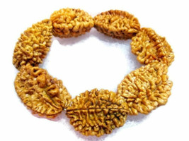 2 deux bracelets Mukhi Rudraksha énergisés - £11.05 GBP