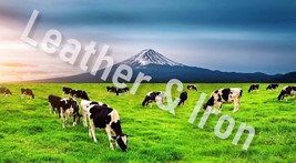 Cows Grazing Design Vinyl Checkbook Cover - £6.85 GBP