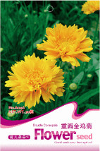 Worldwide Shipping 1 Pack 30 Seeds / Pack Yellow Coreopsis Sunray Lance Leaf #A0 - $9.44