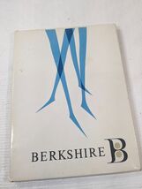Vintage Berkshire stockings Demi-Toe Utopia 10 M sheer 100% nylon Pantyhose - $38.00