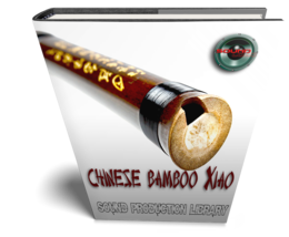 XIAO Chinese Bamboo Flute - LARGE Original WAVE/NKI Multi-Layer Samples ... - £11.78 GBP