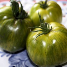 USA Seller Fresh Tomato Seeds Aunt Ruby German Green Tomato 20 Vegetable... - $16.56