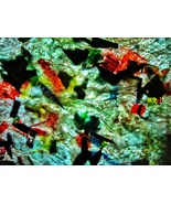 Recycle plastic blue texture photo stock,Dark blue abstract wallpaper,Dark textu - $3.55