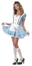 California Costumes - Alice In Wonderland Costume - Teen Size 3-5 - Blue/White - £27.24 GBP