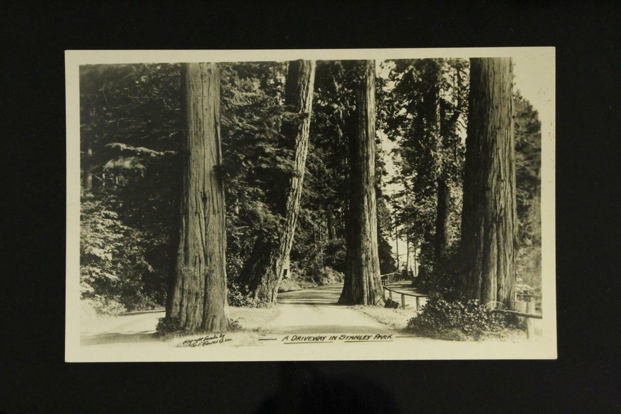 Vintage Gowen Photo Postcard RPPC Driveway in Stanley Park Vancouver Canada - $9.66