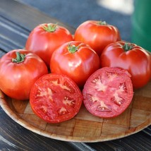 SL 50 Seeds Skyway Tomato Tomatoe Vegetable Garden Edible Canning - $3.44