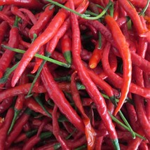 Cayenne Long Thin Pepper Seeds 30 Seeds Non Gmo Fresh New - $7.58