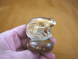 tne-liz-ig-3-b) Iguana TAGUA NUT TUSK Figurine carving Vegetable carved ... - £23.03 GBP
