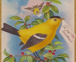 Goldfinch on Berry Branch W/ Letter for a Sweetheart Antique Greeting Po... - $8.25