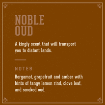 18.21 Man Made  NOBLE OUD 3-in-1 shampoo, conditioner, and body wash, 18 fl oz image 3