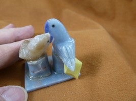 (Y-BIR-PA-489) pair of Parrots white + gray love bird gemstone STONE Per... - €15,53 EUR