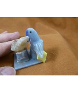 (Y-BIR-PA-489) pair of Parrots white + gray love bird gemstone STONE Per... - $337.95 MXN