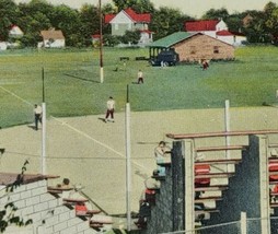 1950s Ted Lewis Recreation Park Circleville Ohio Vintage Postcard Baseba... - £21.32 GBP