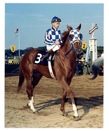 DVD - SECRETARIAT's PREAKNESS STAKES - Entire Broadcast w/BONUS...65 MINUTES!! - $44.99
