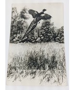 1946 South Dakota FLYING PHEASANT RENDERING L L Cook Vintage Postcard SD... - £6.65 GBP