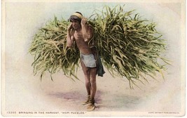 Original ~1910 Hopi Indian Bringing in the Harvest postcard Detroit Publ... - £9.49 GBP