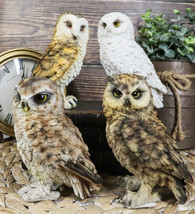 Realistic Colorful Nocturnal Snowy Barn Great Horned Owl Birds Figurine Set of 4 - £31.62 GBP