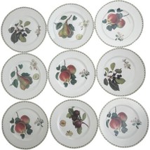 Nine 9 Queens Royal Horticultural Society Hooker&#39;s Fruit Dinner Plates 10 3/4” - £74.73 GBP