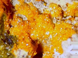SHINKOLOBWEITE, WYARTITE -  Exceptional Crystals - Shinkolobwe, Katanga,... - $2,750.00