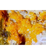 SHINKOLOBWEITE, WYARTITE -  Exceptional Crystals - Shinkolobwe, Katanga,... - €2.365,18 EUR