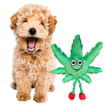 MJ the Weed Leaf 420 Dog Toy(D0102HHLPK6.) - $11.92