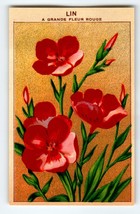 1920&#39;s Flower Seed Art Print LIN GRANDE Lithograph Original Vintage Unused - £7.28 GBP