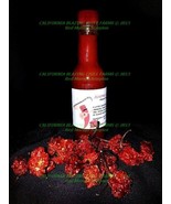 Organic Trinidad Scorpion Hot Sauce SALSA PICANTE~5 oz.! NUCLEAR HOT Fla... - $11.30 CAD