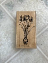 Vintage Stampin Up Bulbs in Bloom Stamp 1999 Amaryllis FLOWERING BULB CH... - $9.49