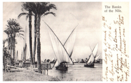 The Banks of the Nile Egypt Postcard - £5.49 GBP