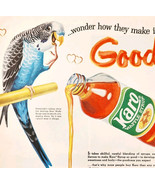 1959 Karo Waffle Syrup Budgie Bird Advertisement Breakfast Condiments DW... - $29.99