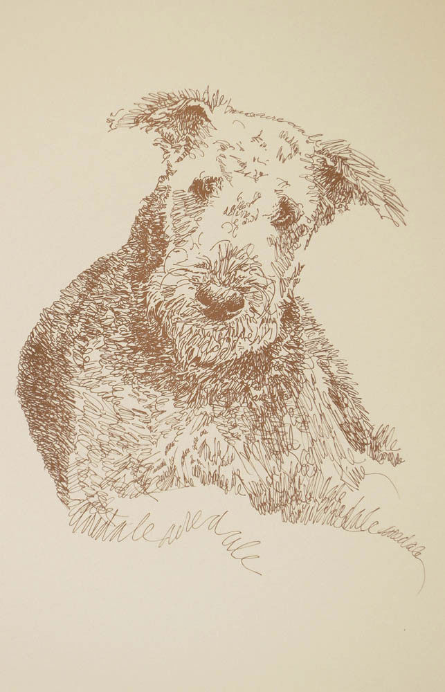 AIREDALE TERRIER DOG ART PRINT #68 Kline draws your dogs name free. WORD DRAWING