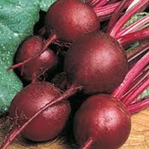 ArfanJaya Beets Ruby Queen Heirloom 25+ Seeds Non Gmo Dark Red N Sweet Beet - £7.51 GBP
