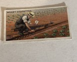 Sowing Peas WD &amp; HO Wills Vintage Cigarette Card #49 - £2.35 GBP