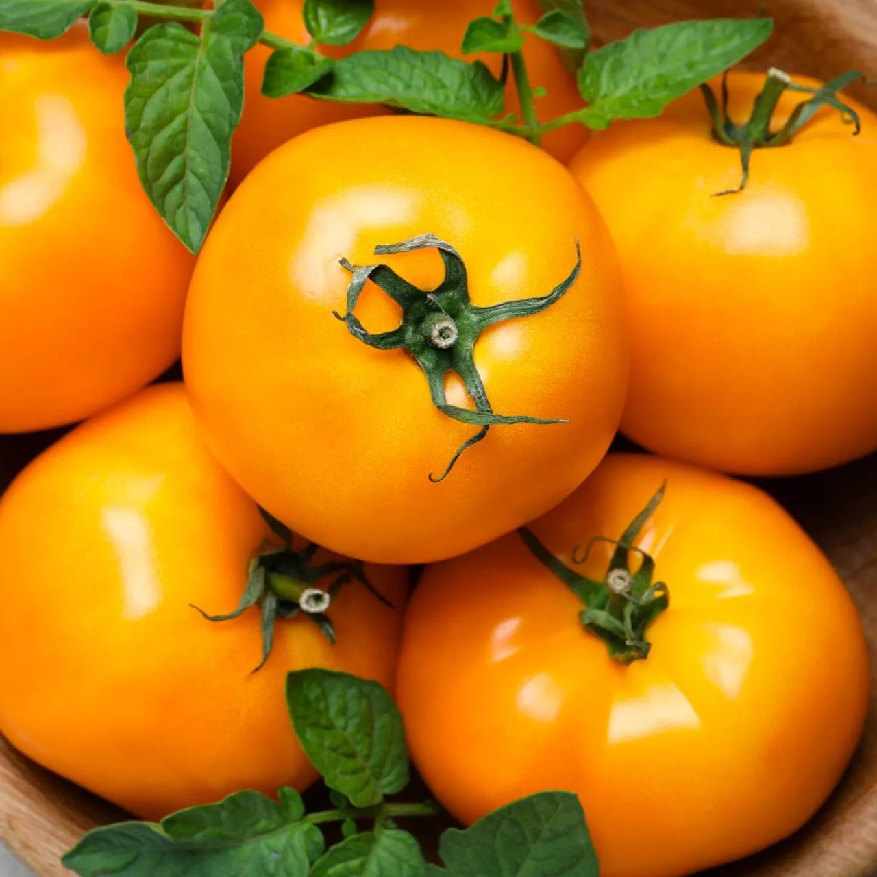 50 Seeds Sunray Tomato Vegetable Fast US Shipping - $9.50