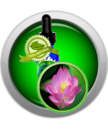 Pink Lotus Absolute Oil (Nelumbo Nucifera) - $8.00+