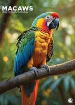 Macaws Calendar 2026 - $19.99