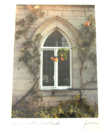 Art Photo Mrs Scott&#39;s Window Roses Scotland Signed Paul C James 5 x 7 in... - £15.15 GBP