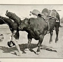 1921 Sharkey Bull Photo Print Round Up Bucking Rodeo Cowboy California DWN8C - £23.52 GBP