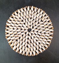Vintage  Cowrie Seashell Shell Trivet - Coaster - Hot Pad, Mint Cond, 6 ... - $12.00