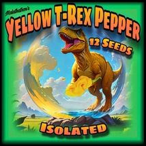 Yellow T-Rex Pepper - 12 Isolated Seeds - Pure Genetics - Extremely  Hot! - £5.09 GBP