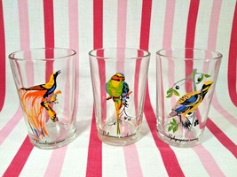 Gorgeous Vintage 3pc KIG Exotic Tropical Birds 4&quot; Drinking Tumblers Malaysia - £22.57 GBP